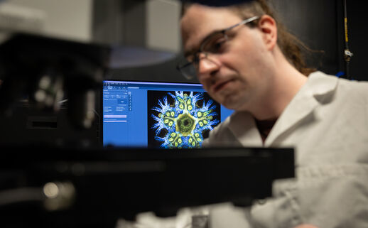 Life science researcher Peter Nilsson adjusts one of the new confocal microscopes in the imaging center at Hopkins Marine Station. An image of a juvenile sea star (Patiria miniata) is displayed on the screen behind him. 