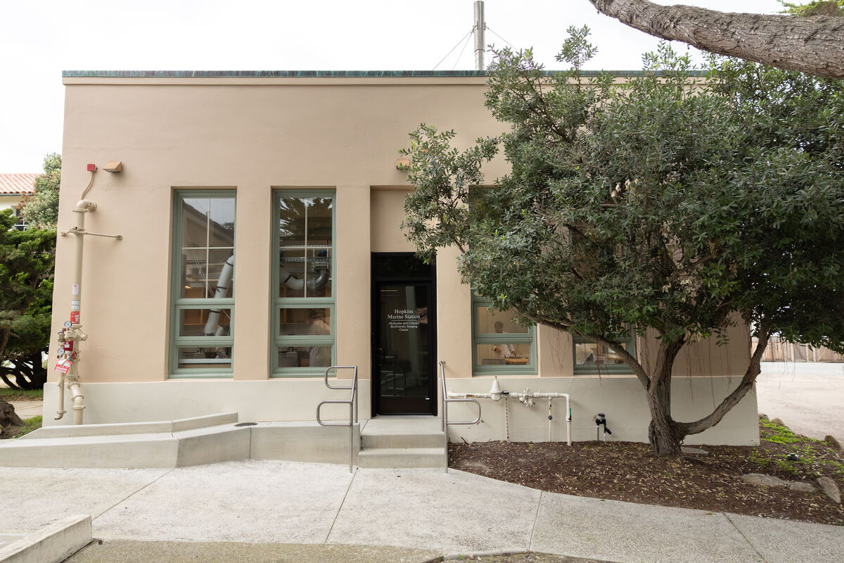 The outside of the imagination center is a squat pale building with a tree near the front door