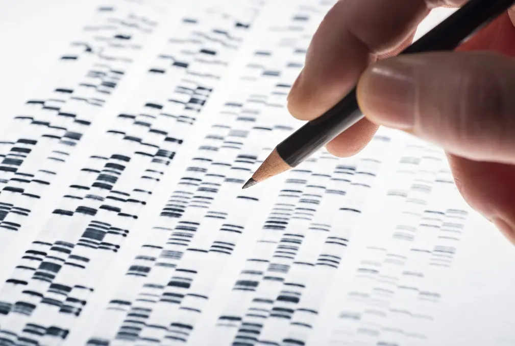 Close-up photo of a DNA test.