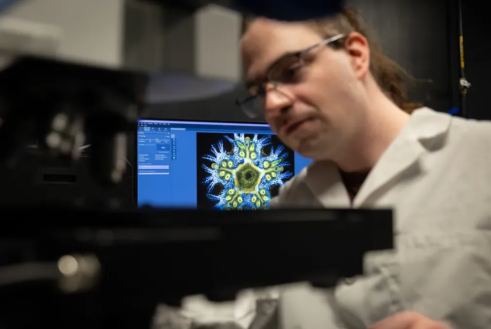 Life science researcher Peter Nilsson adjusts one of the new confocal microscopes in the imaging center at Hopkins Marine Station. An image of a juvenile sea star (Patiria miniata) is displayed on the screen behind him. 